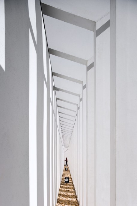 PROMONTORIO - MORE RIVER AQUIARIUM- fernando guerra (10)