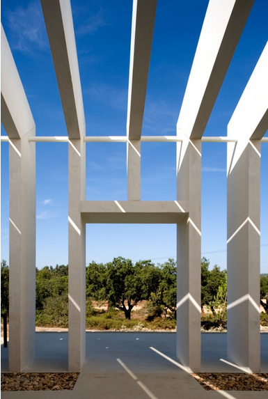 PROMONTORIO - MORE RIVER AQUIARIUM- fernando guerra (14)