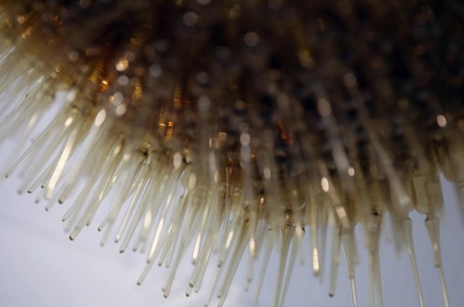 ARTE Y SALUD - COLECCION DKV