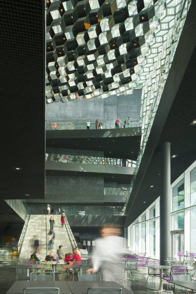 HARPA 06