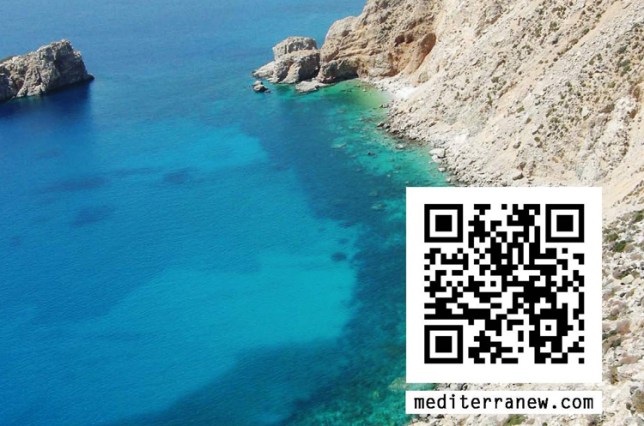 WORKSHOP MEDITERRENEW