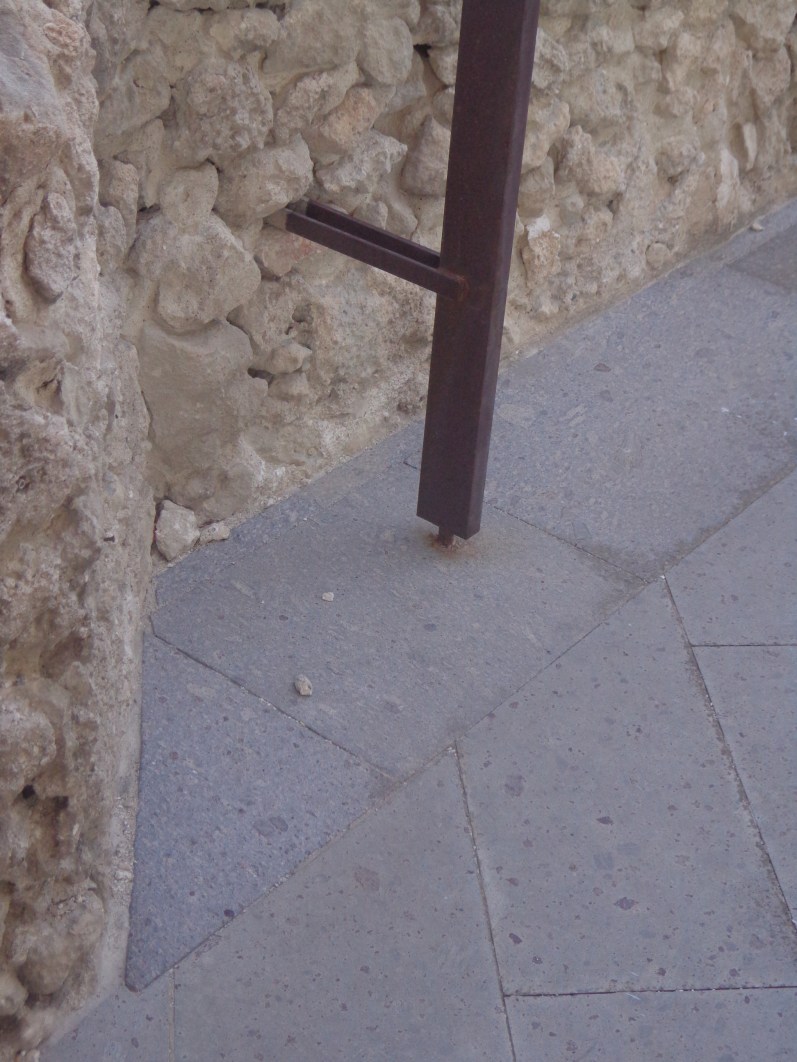 130701_TORO Y SOLANAS 346