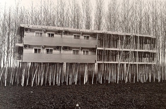 0000Serie-Inter-Acciones-I2001