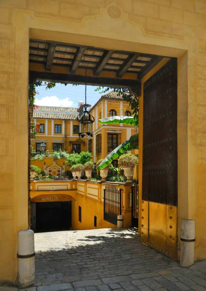 1175462_239584266191496_823978729_n