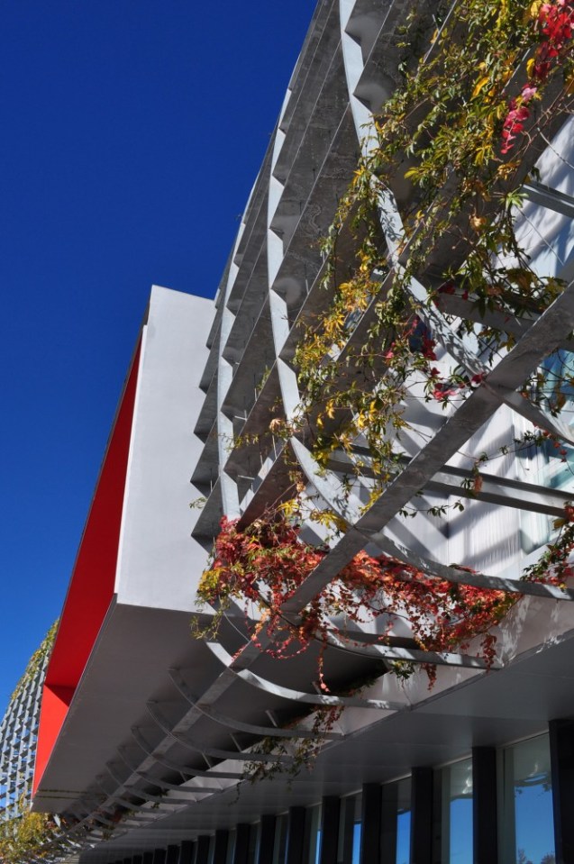 1311389236-dsc-0017-1-664x1000