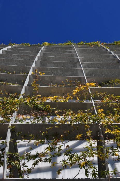 1311697975-dsc-0011-1-464x700