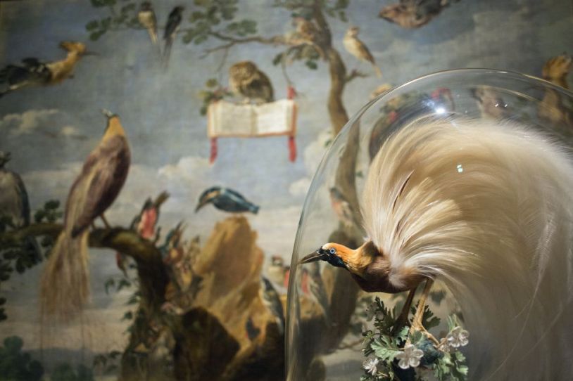 1383742452_960791_1383742976_album_normal