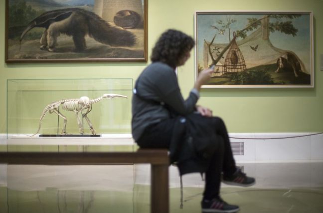 1383742452_960791_1383743022_album_normal