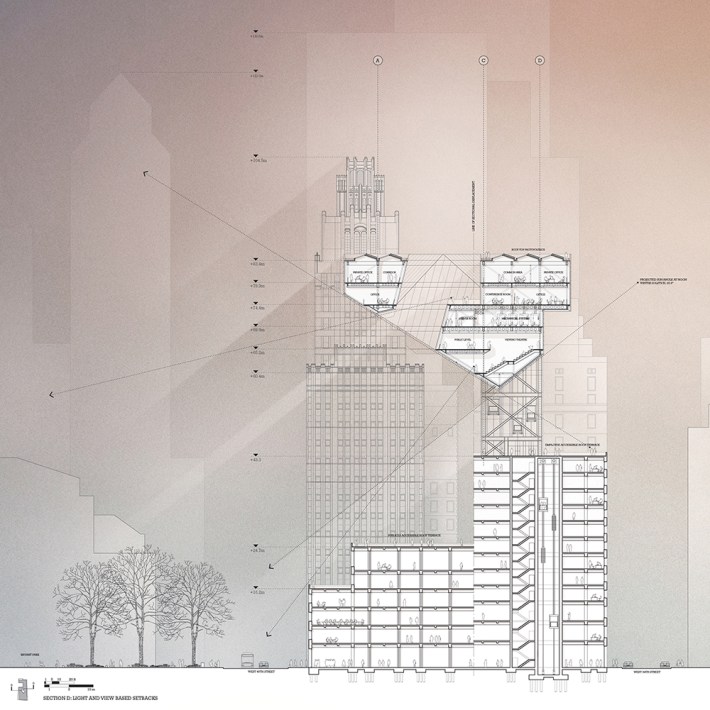 Section-D-Large-Section-v2